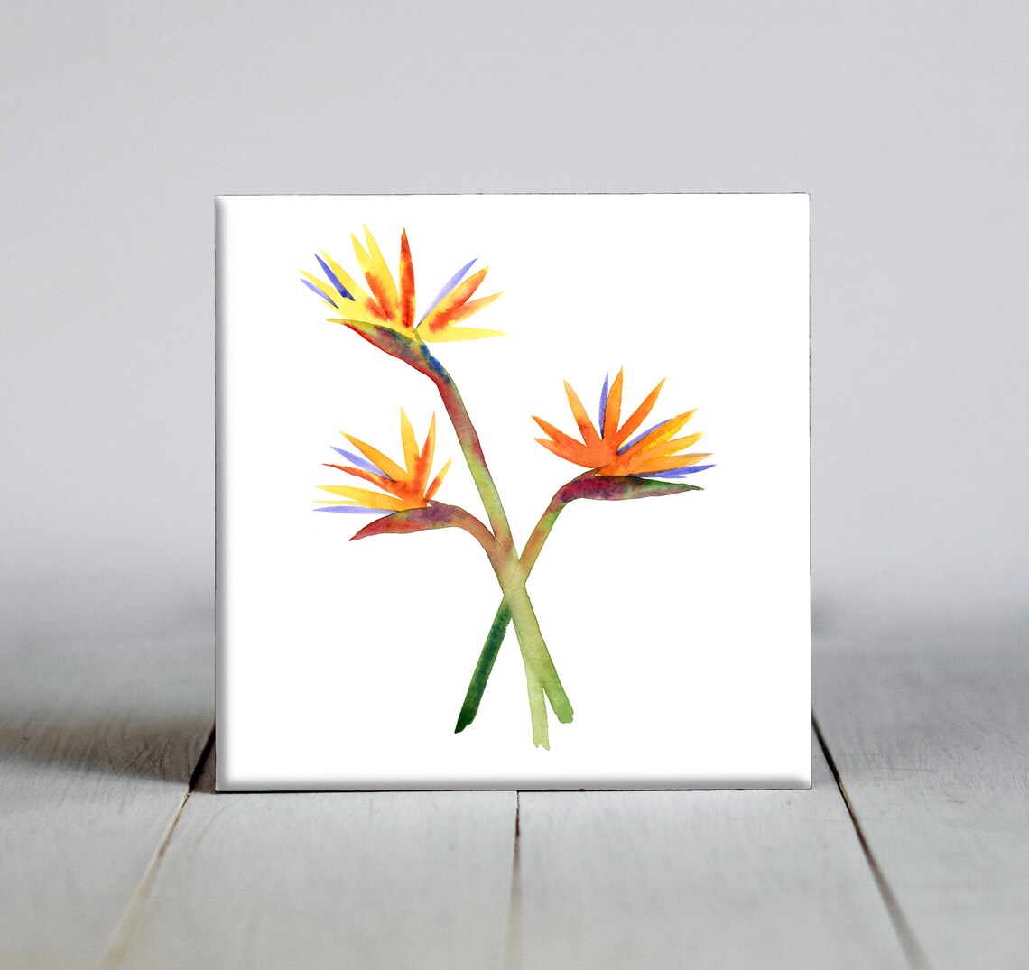 Bird Of Paradise Decorative Tile, Nature Art Print