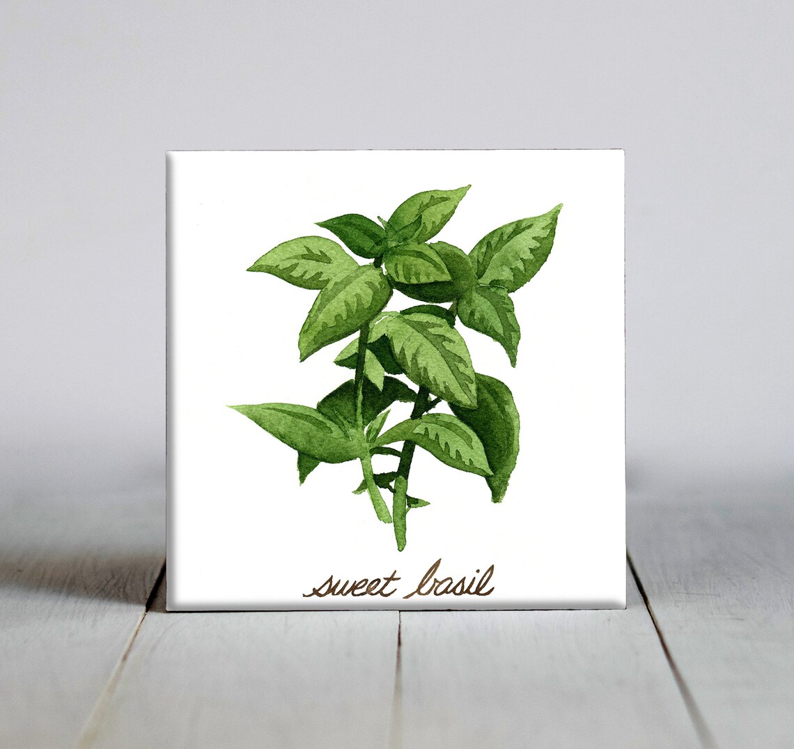 Basil Decorative Tile Art Print, Herb Kitchen Decor