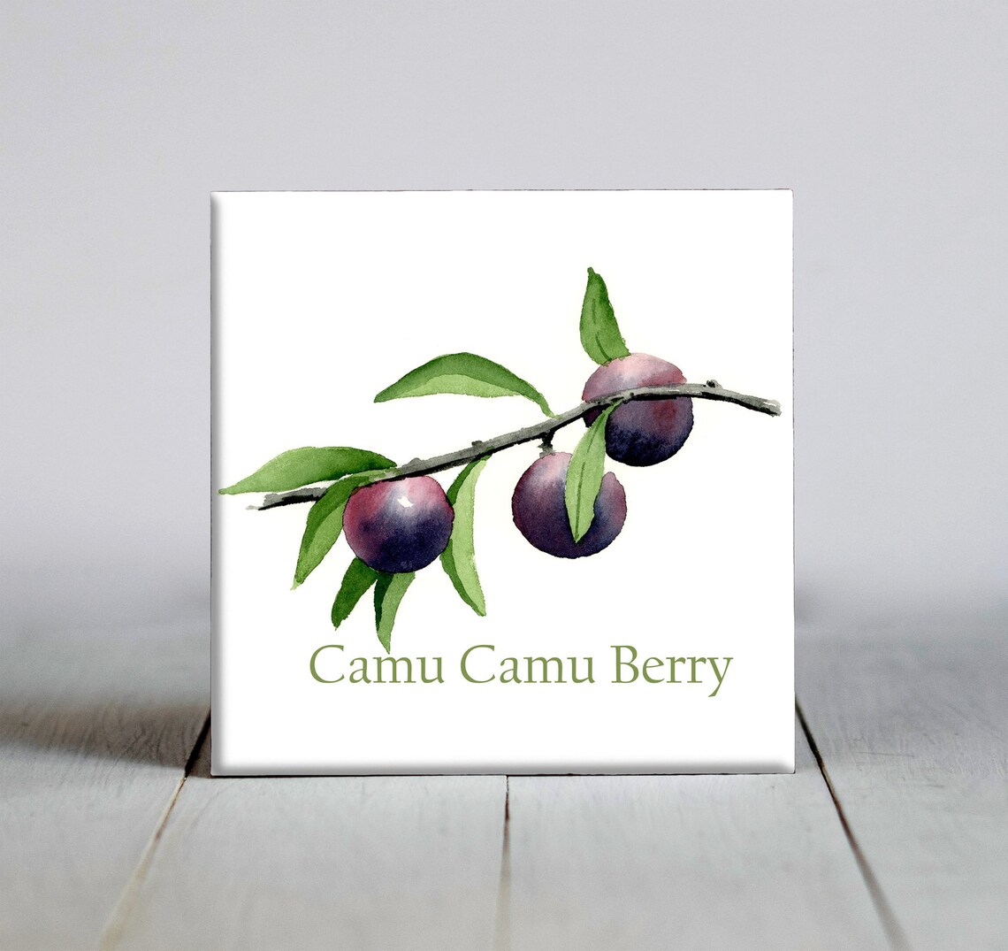 Camu Camu Berry Branch Botanical Watercolor Ceramic Tile Wall Art