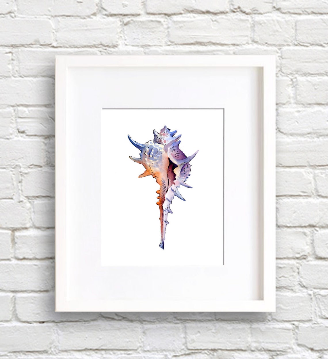 Colorful Spiny Murex Seashell Watercolor Coastal Decor Poster