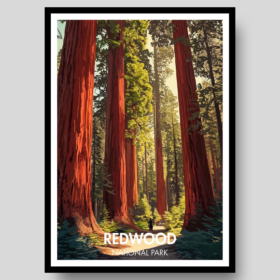 Redwood National Park Travel Poster, US Parks