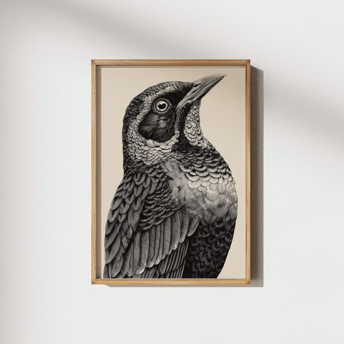 Black Songbird Head Vintage Style Detailed Illustration Poster