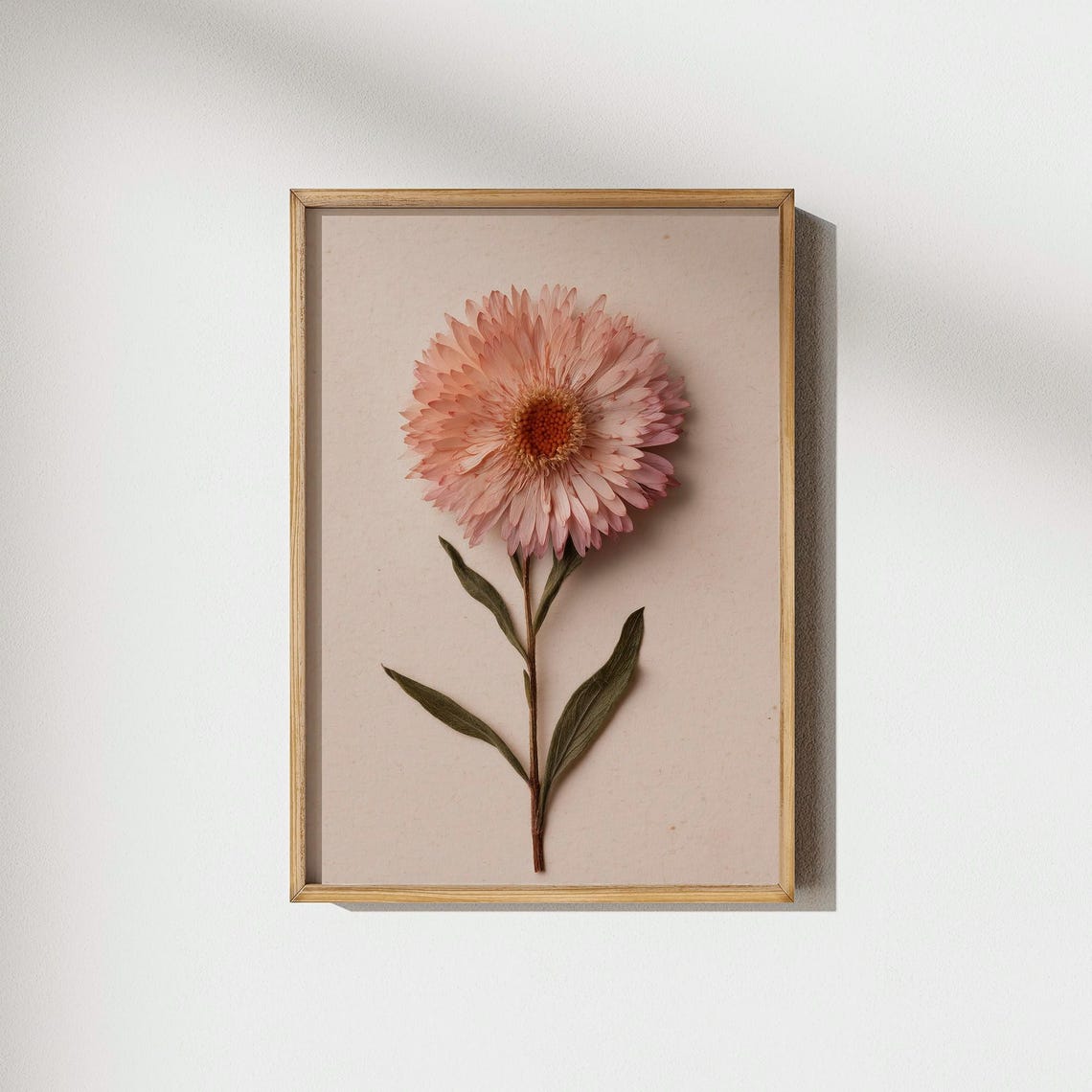 Coral Pink Gerbera Daisy Pressed Flower Minimalist Floral Poster