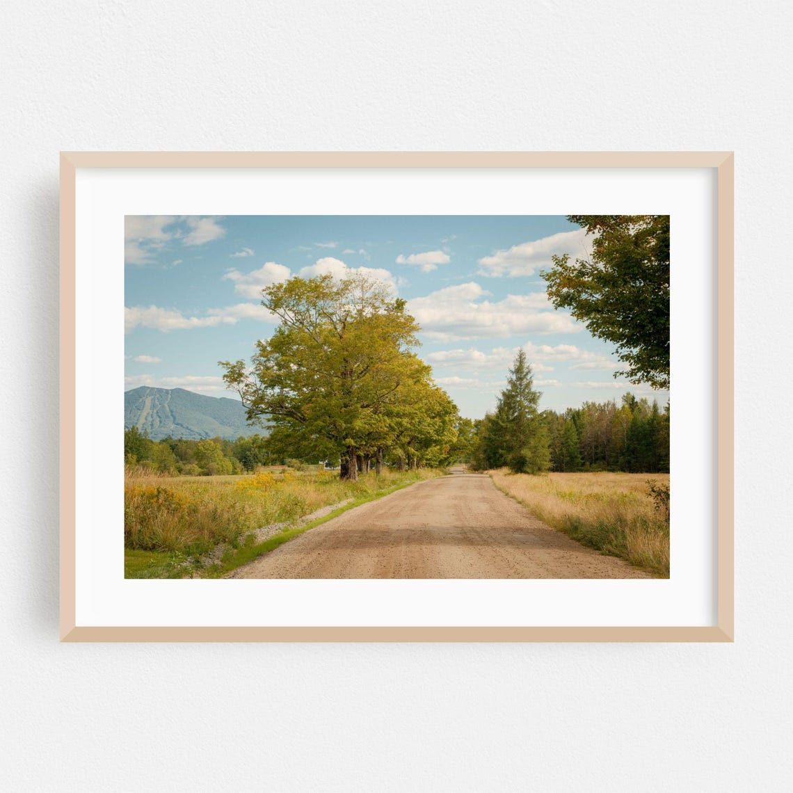 Vermont Dirt Road Countryside Photography Poster With Green Hills