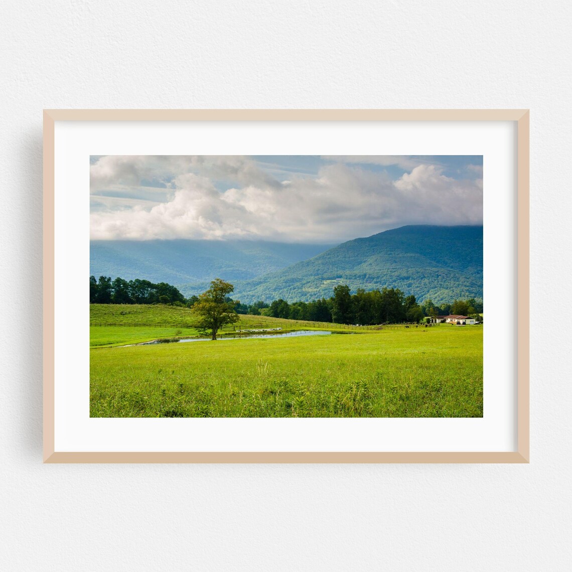 West Virginia Green Meadow Lone Tree Pond Mountain View Photo Poster