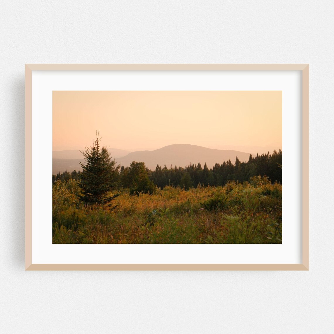 Westmore Vermont Autumn Forest Misty Mountain Golden Hour Photo Poster