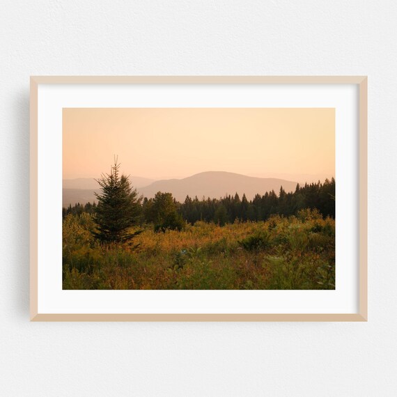 Westmore Vermont Autumn Forest Misty Mountain Golden Hour Photo Poster