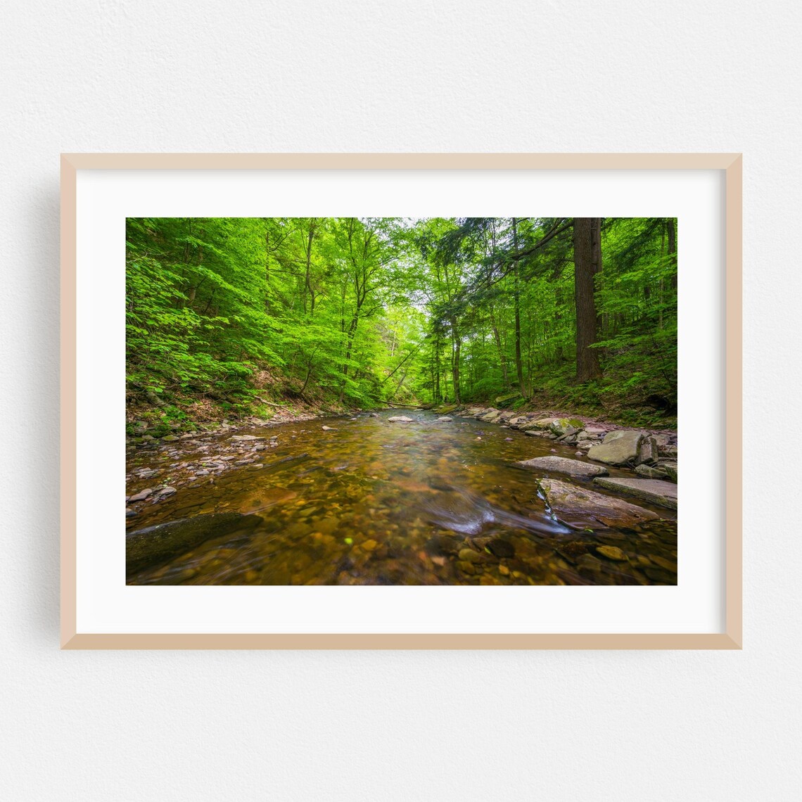 Pennsylvania Forest Stream Summer Green Woodland Photo Poster