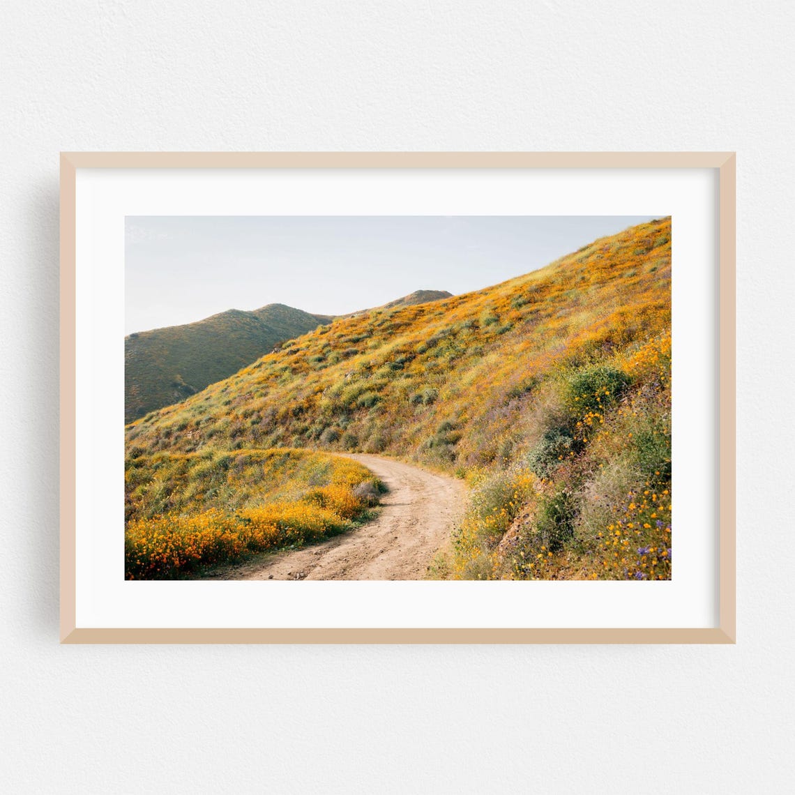 Dirt Path Through Wildflower Hillside Trail Photography Poster