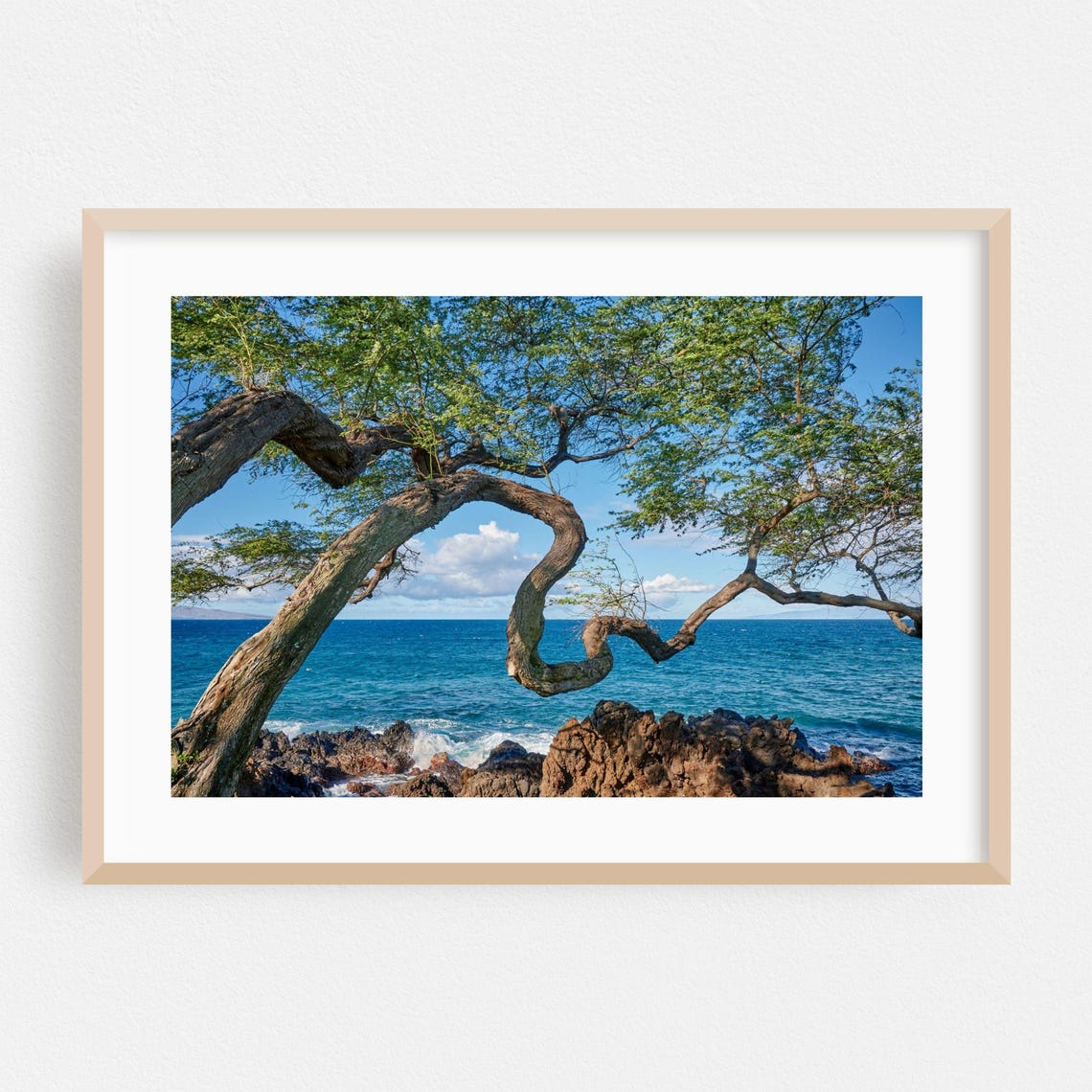 Windswept Tropical Tree Over Turquoise Ocean Rocky Shore Photo Print
