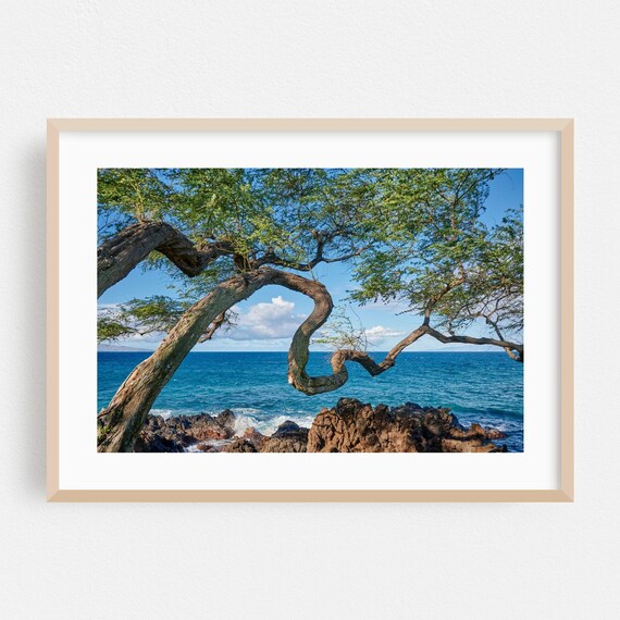 Nature Print Seascape Wall Art Coast Framed Ocean Home Decor Tropical Poster Landscape Fine Botanical Photography