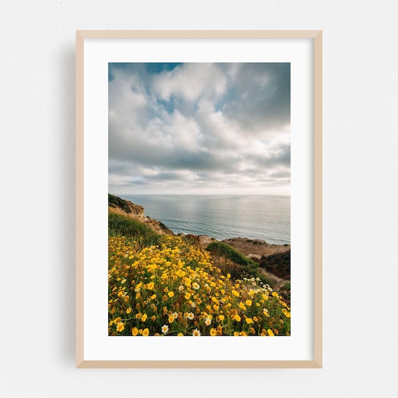 San Diego Coastal Bluff Wildflowers Ocean View Photography Print