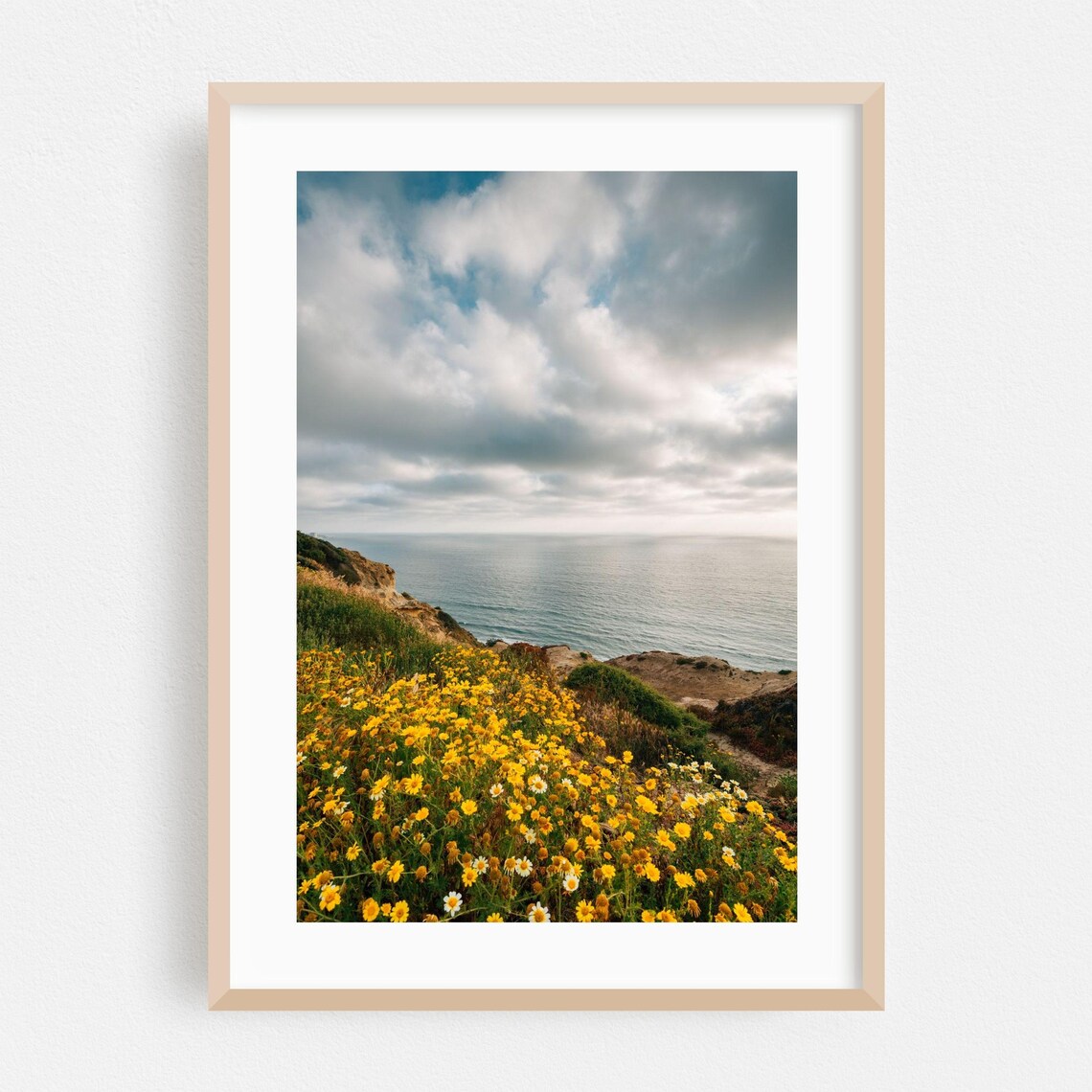 San Diego Coastal Bluff Wildflowers Ocean View Photography Print