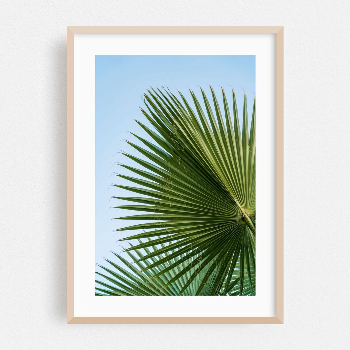 Palm Frond Close Up Green Leaves Against Blue Sky Photo Poster
