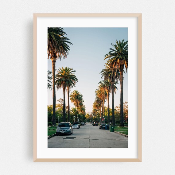 Palm Tree Lined Los Angeles Street Golden Hour Photography Poster