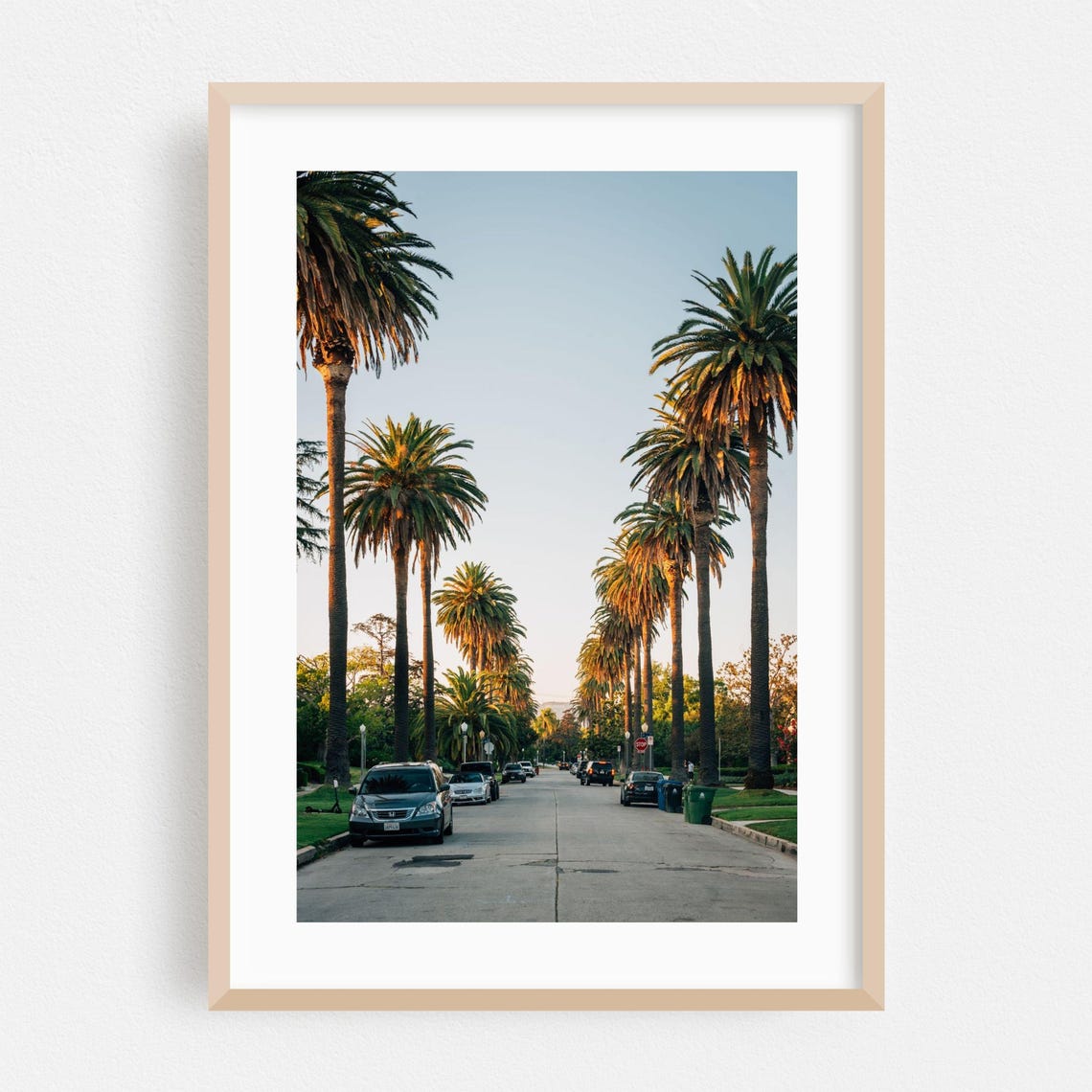 Palm Tree Lined Los Angeles Street Golden Hour Photography Poster