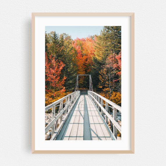 Wooden Footbridge Through Autumn Forest Fall Foliage Photo Poster