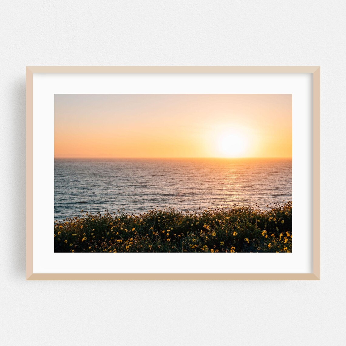Dana Point Ocean Sunset Over Wildflower Meadow Coastal Photo Poster