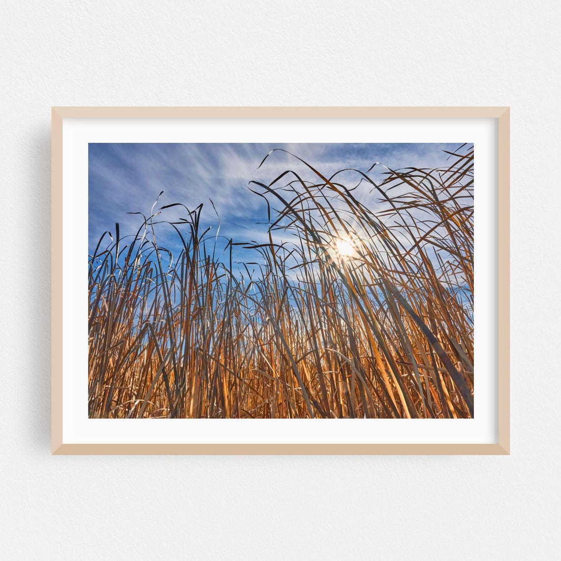 Autumn Prairie Grass Against Blue Sky Fine Photography Poster
