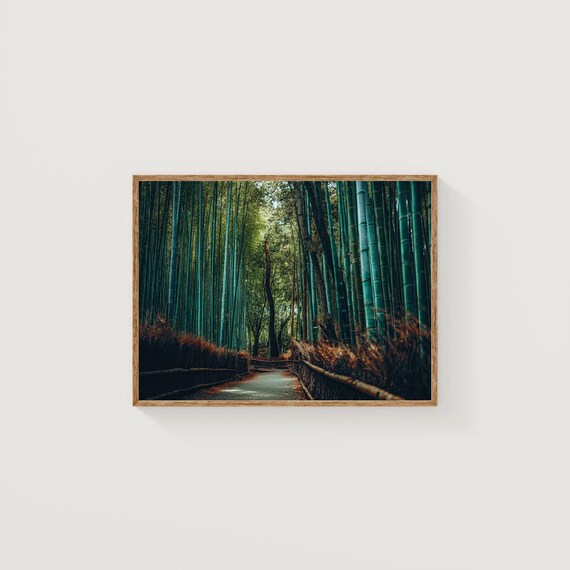 Arashiyama Bamboo Forest Print Zen Kyoto Fine Art Photography
