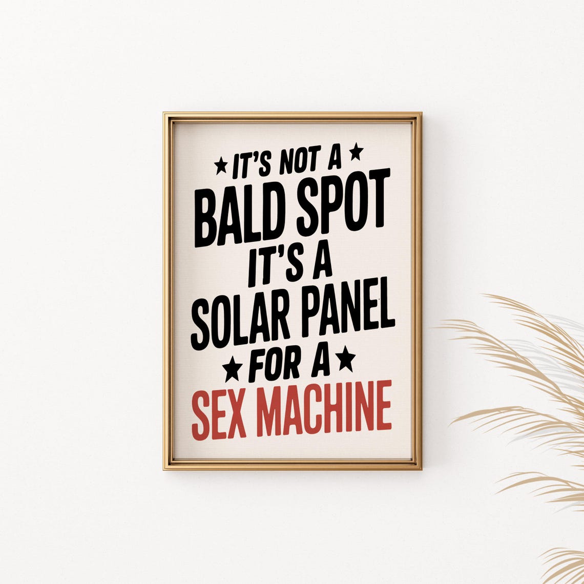 Its Not a Bald Spot Solar Panel Funny Bold Typography Quote Poster