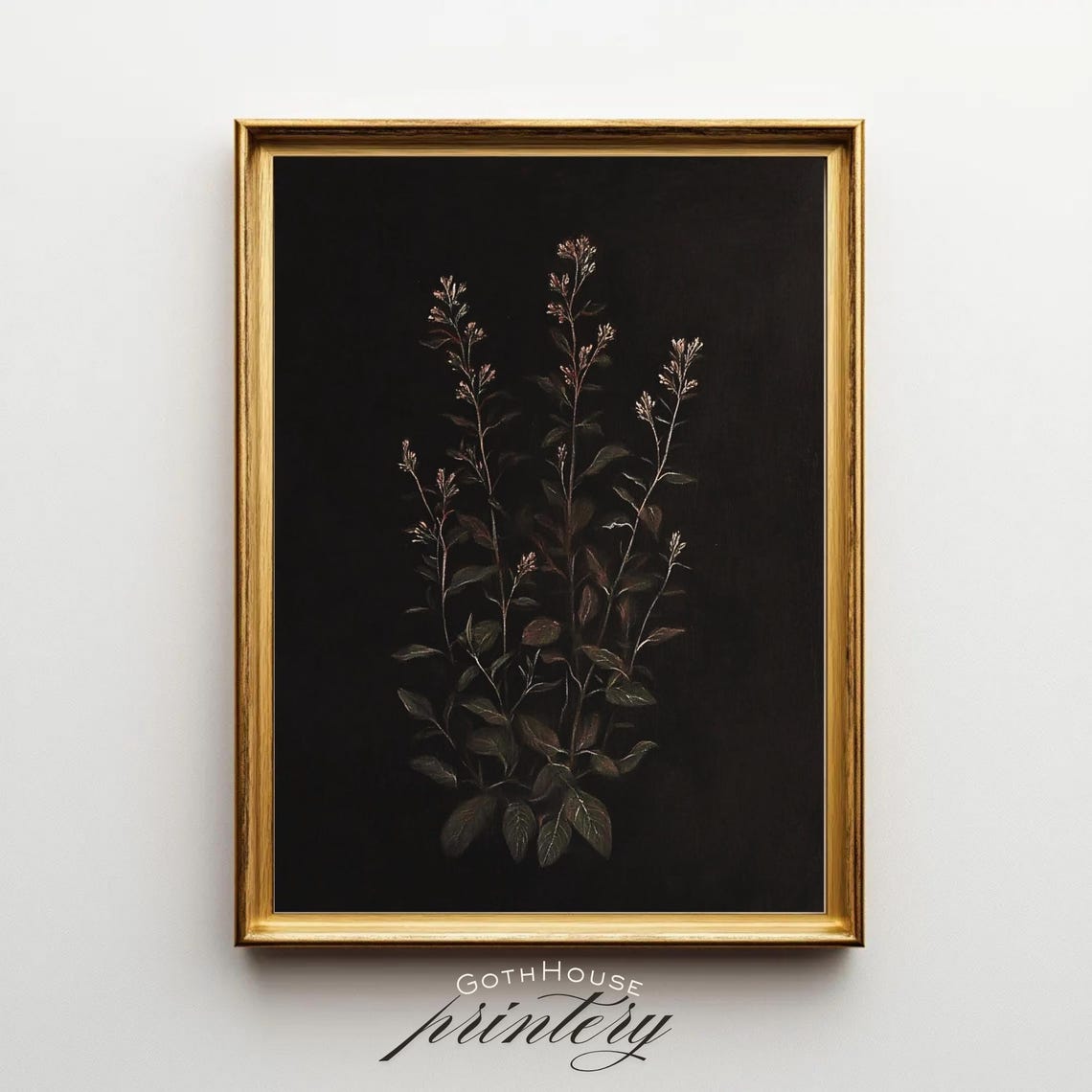 Black Botanical Herb Study Vintage Dark Academia Plant Poster