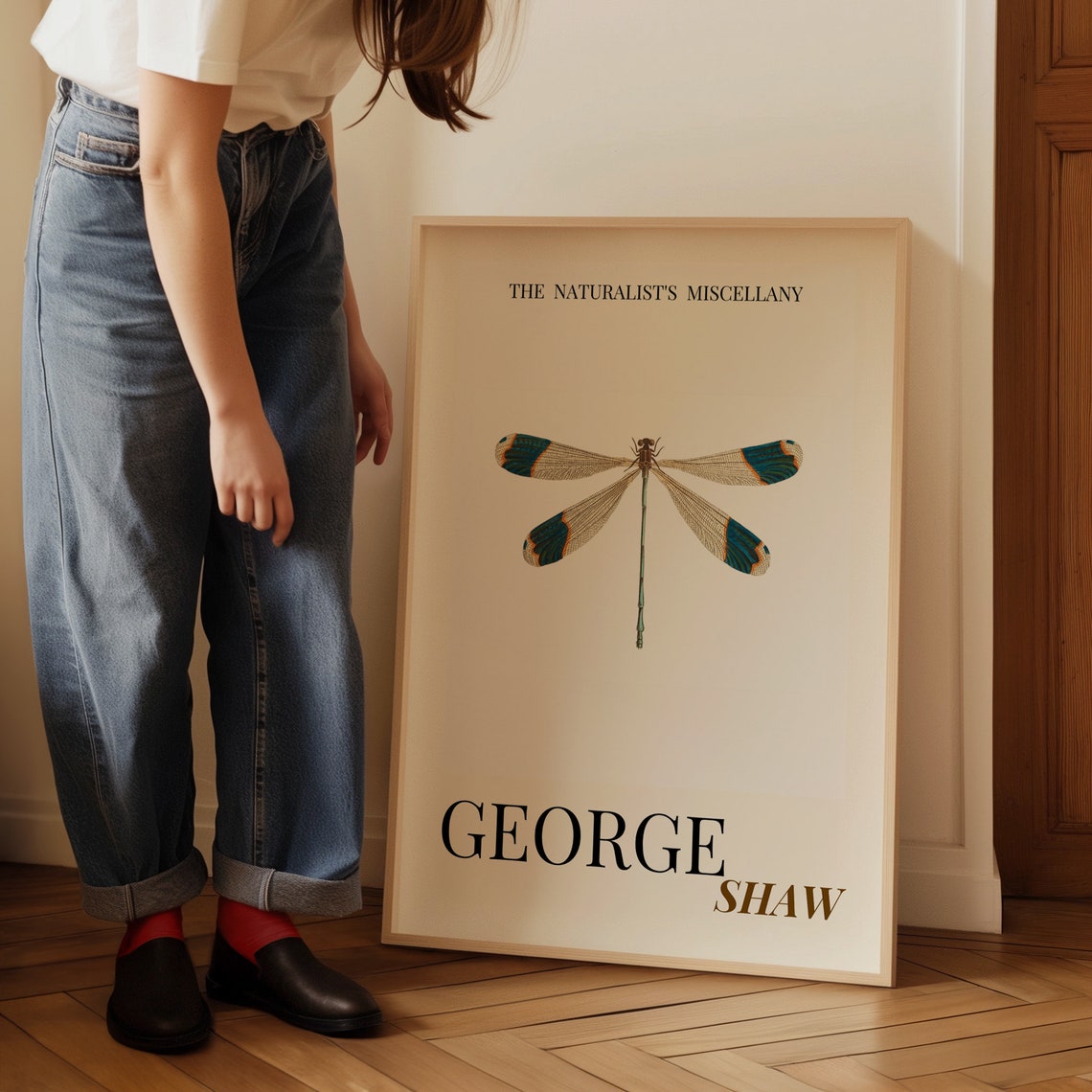 Banded Damselfly Dragonfly George Shaw Vintage Insect Art Print - Image 3