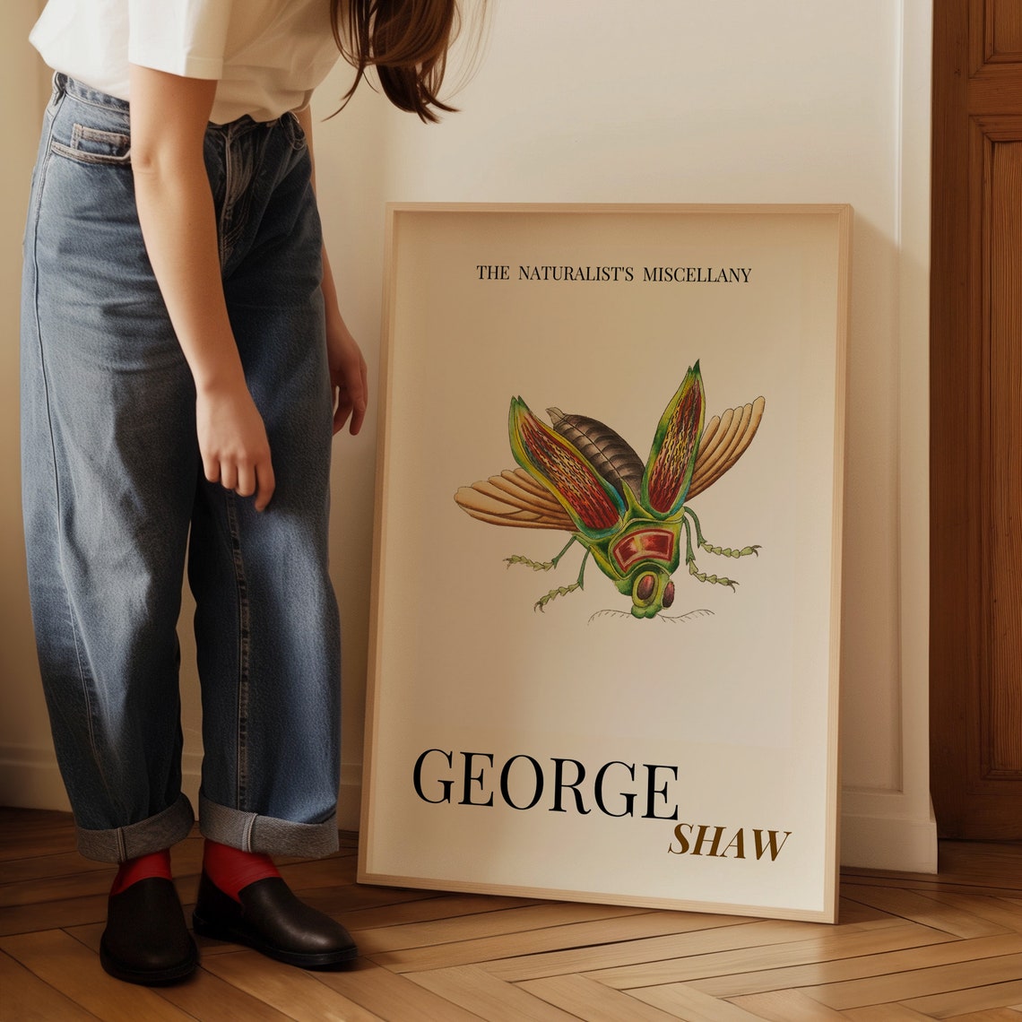 George Shaw Antique Exotic Insect Illustration Exhibition Poster - Image 3