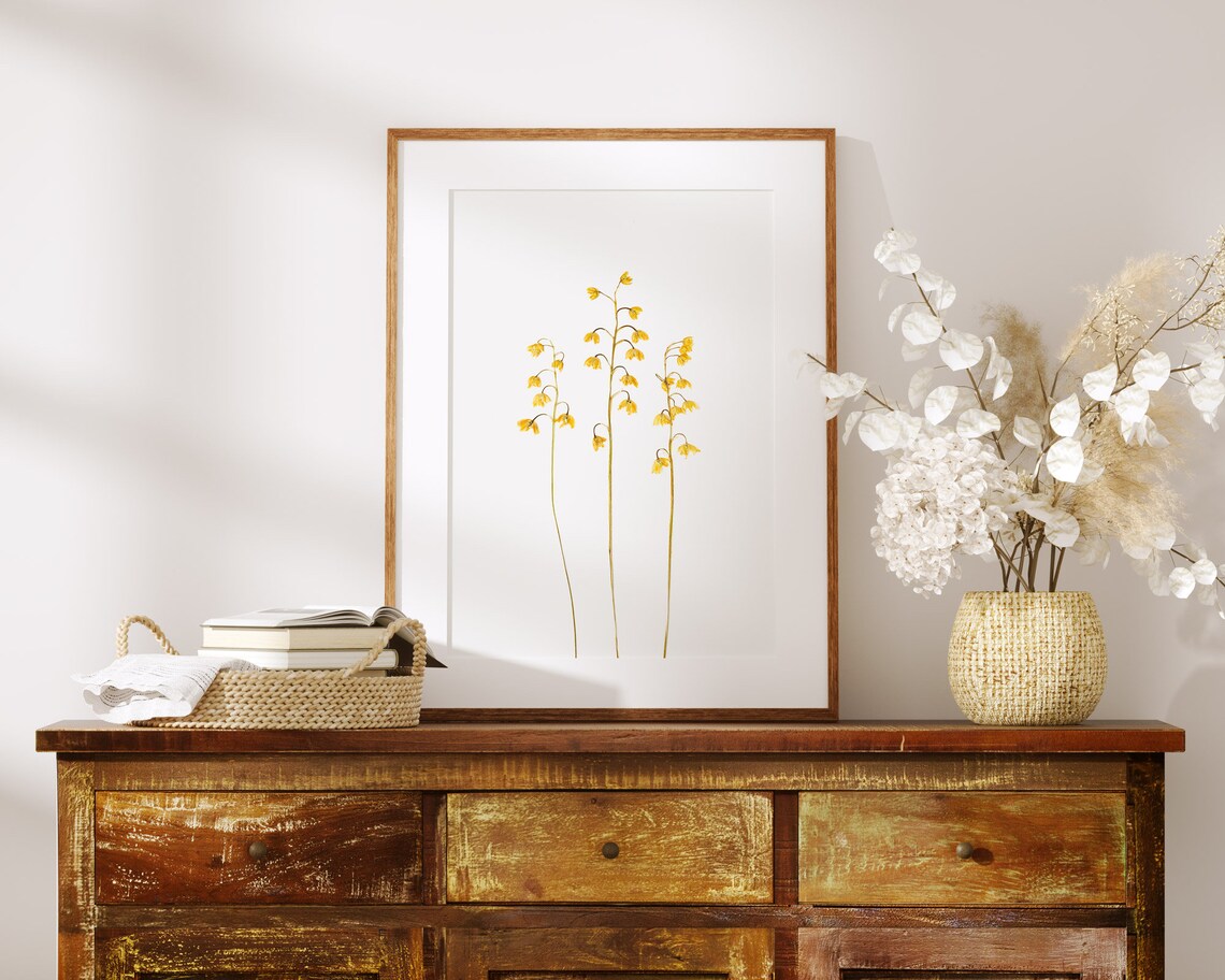 Yellow Pressed Flower, Rustic Botanical Art Print - Image 3