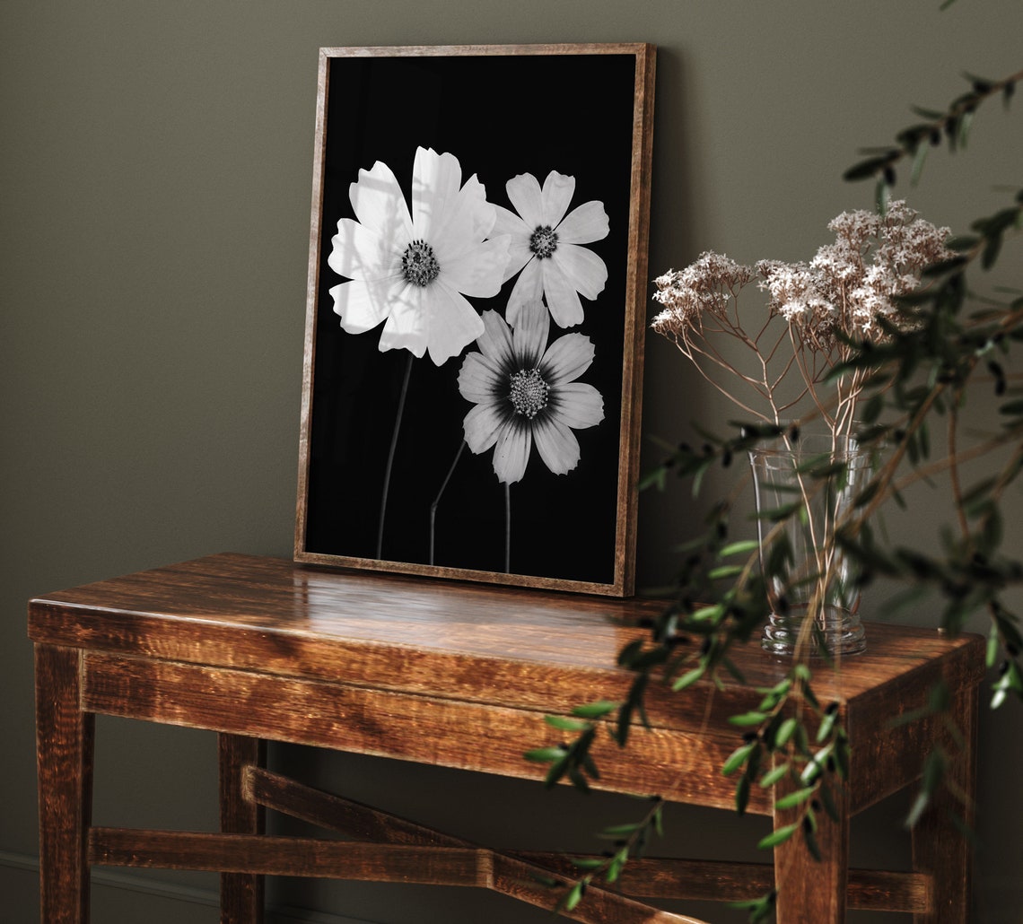 Black And White Cosmos Flowers Dramatic Botanical Photography Wall Art - Image 2