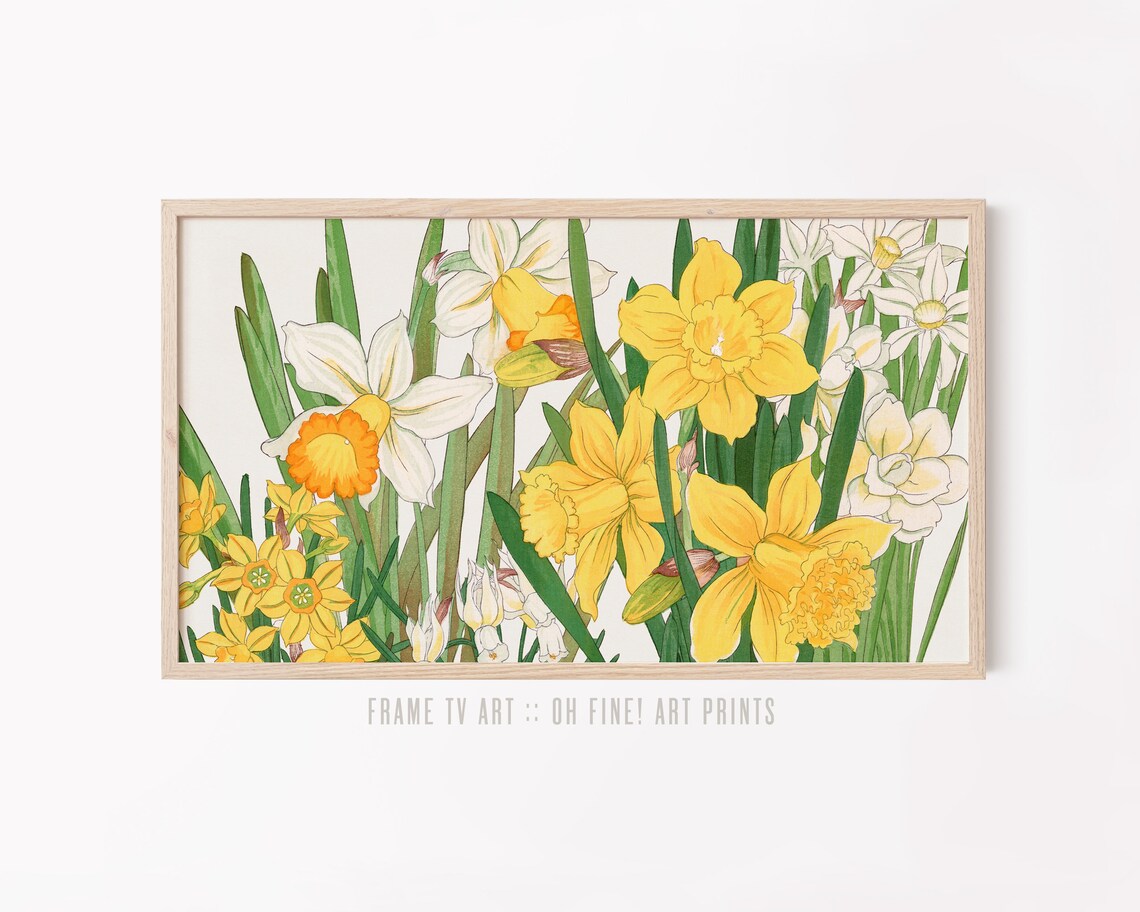 Spring Daffodil Vintage Botanical Woodblock Art Print