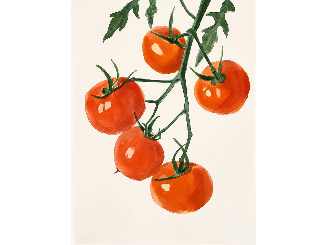 Vine Ripened Red Tomatoes in Bold Watercolor Botanical Poster