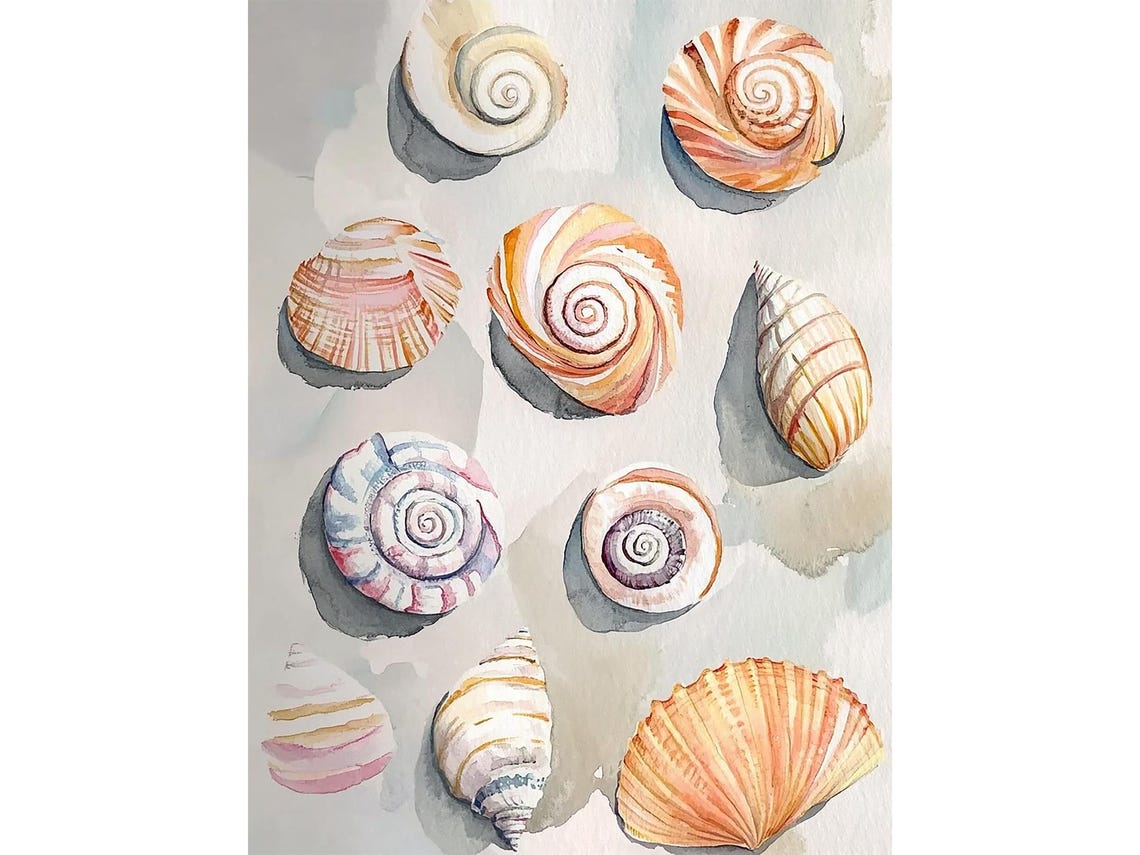 Pastel Seashells Spiral Shells Coastal Watercolor Beach Poster