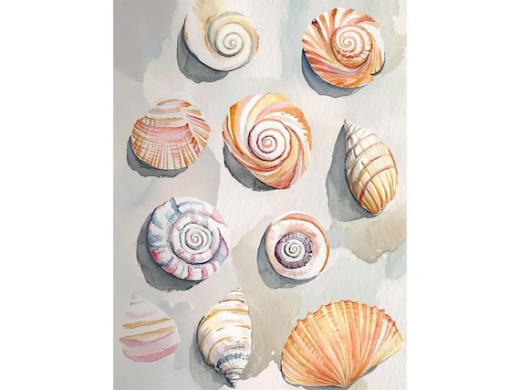 Pastel Seashells Spiral Shells Coastal Watercolor Beach Poster