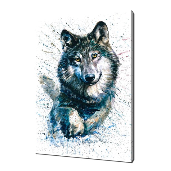 Grey Wolf Intense Stare Watercolor Splash Wildlife Portrait Poster