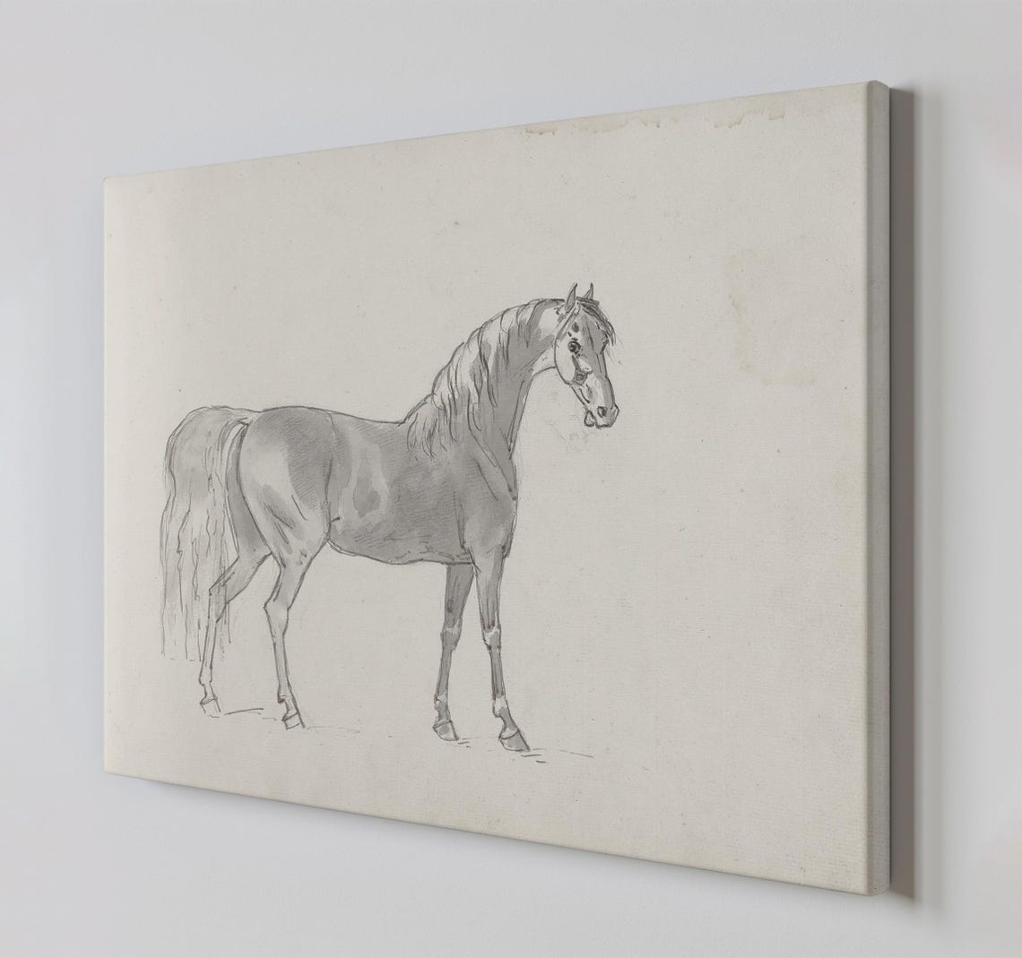 Standing Horse Pencil Sketch Minimalist Equine Line Art Poster - Image 3