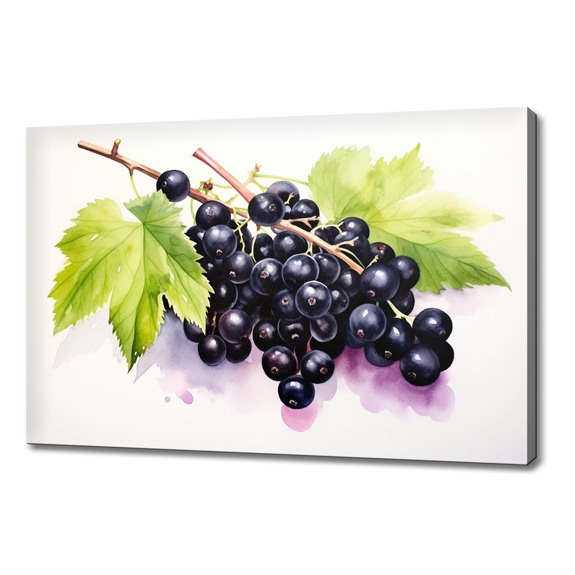 Blackcurrant Berries Branch Watercolor Botanical Berry Poster