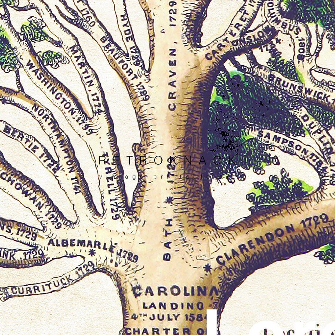 North Carolina 1851 County Tree Map Vintage Genealogy Poster - Image 2