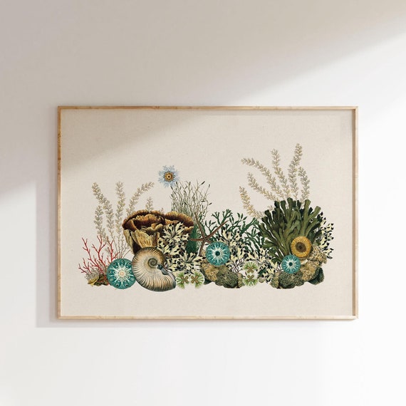 Sea Garden Coastal Decor Art Print Haeckel Sea Illustrations Wall Art Gift For Him Ocean Coral Shells Plants Collagerie Print
