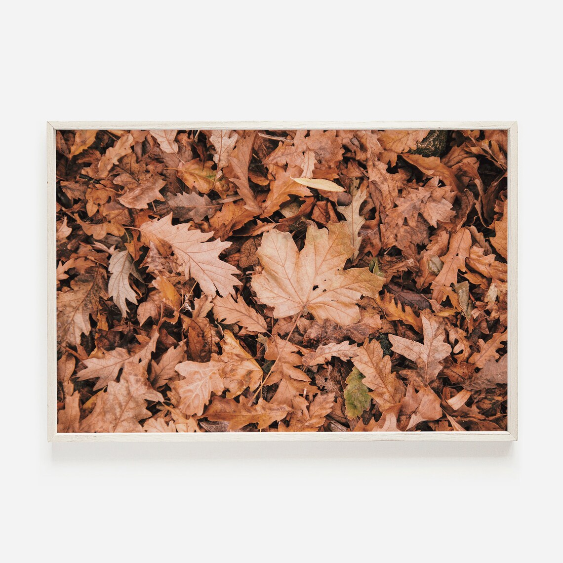 Pile Of Dried Leaves Autumn Photography Art Print