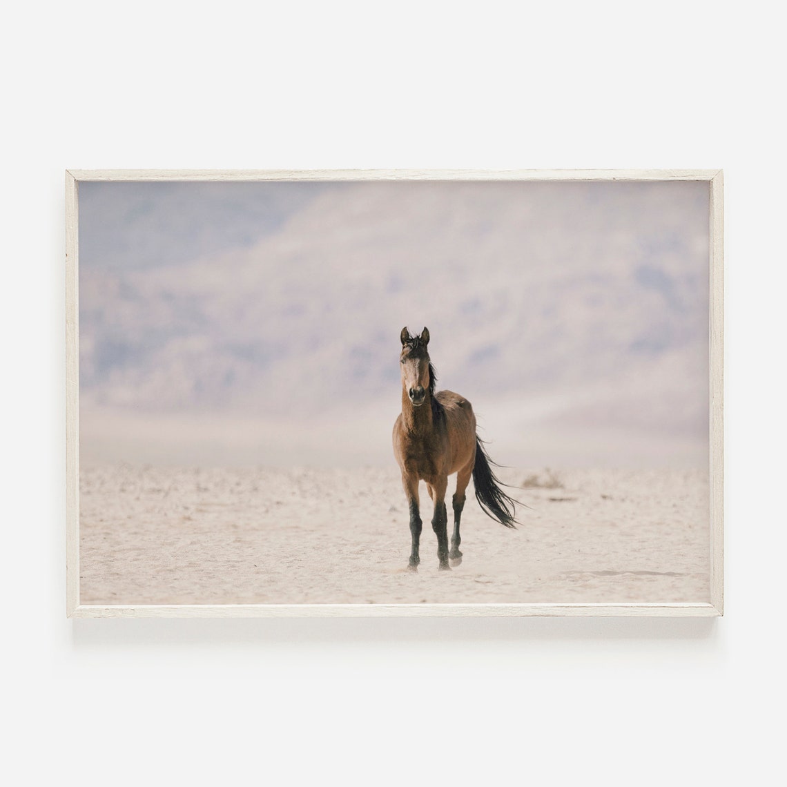 Wild Horse Mustang Standing Alone on Desert Plain Photography Poster