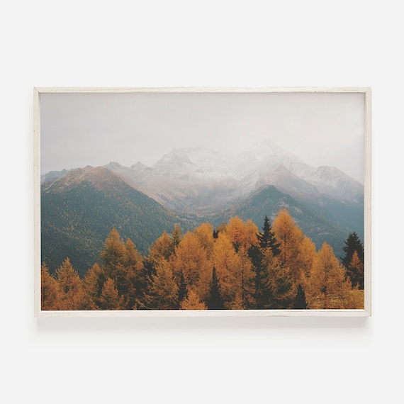 Misty Autumn Mountain Forest Serene Landscape Photography Lodge Poster