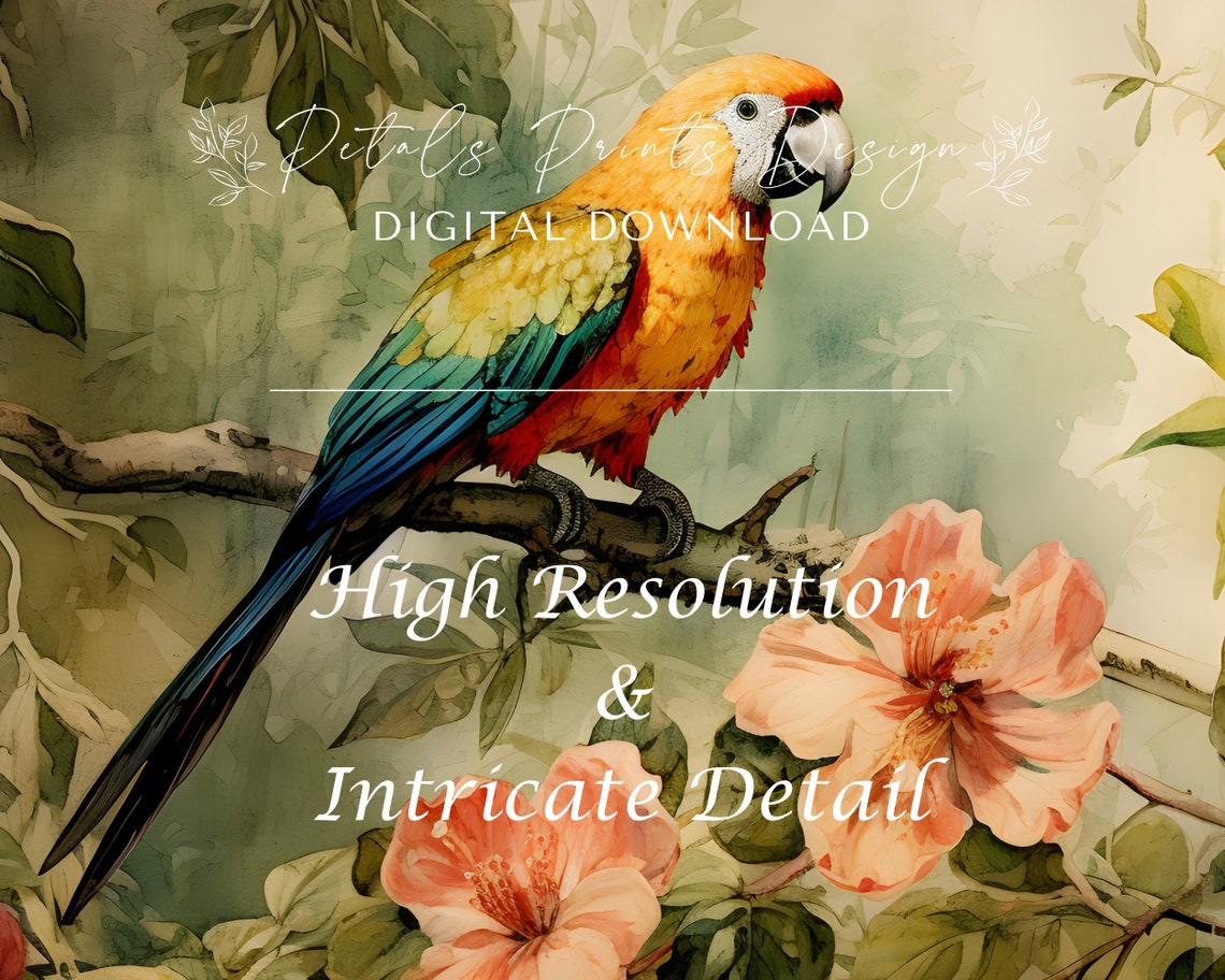 Orange Macaw Parrot Pink Hibiscus Flowers Tropical Bird Poster - Image 3