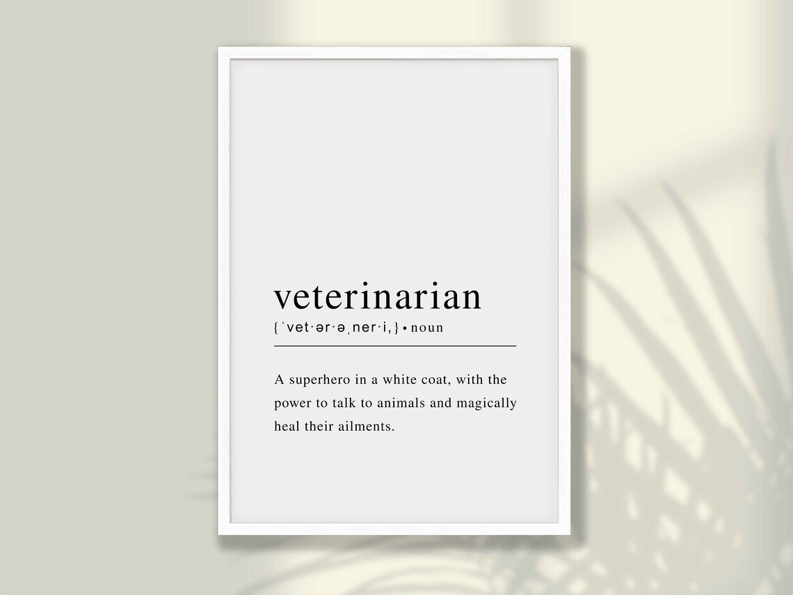 Veterinarian Superhero White Coat Definition Appreciation Poster