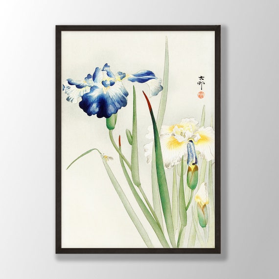 Japanese Iris Floral Art Print, Farmhouse Decor
