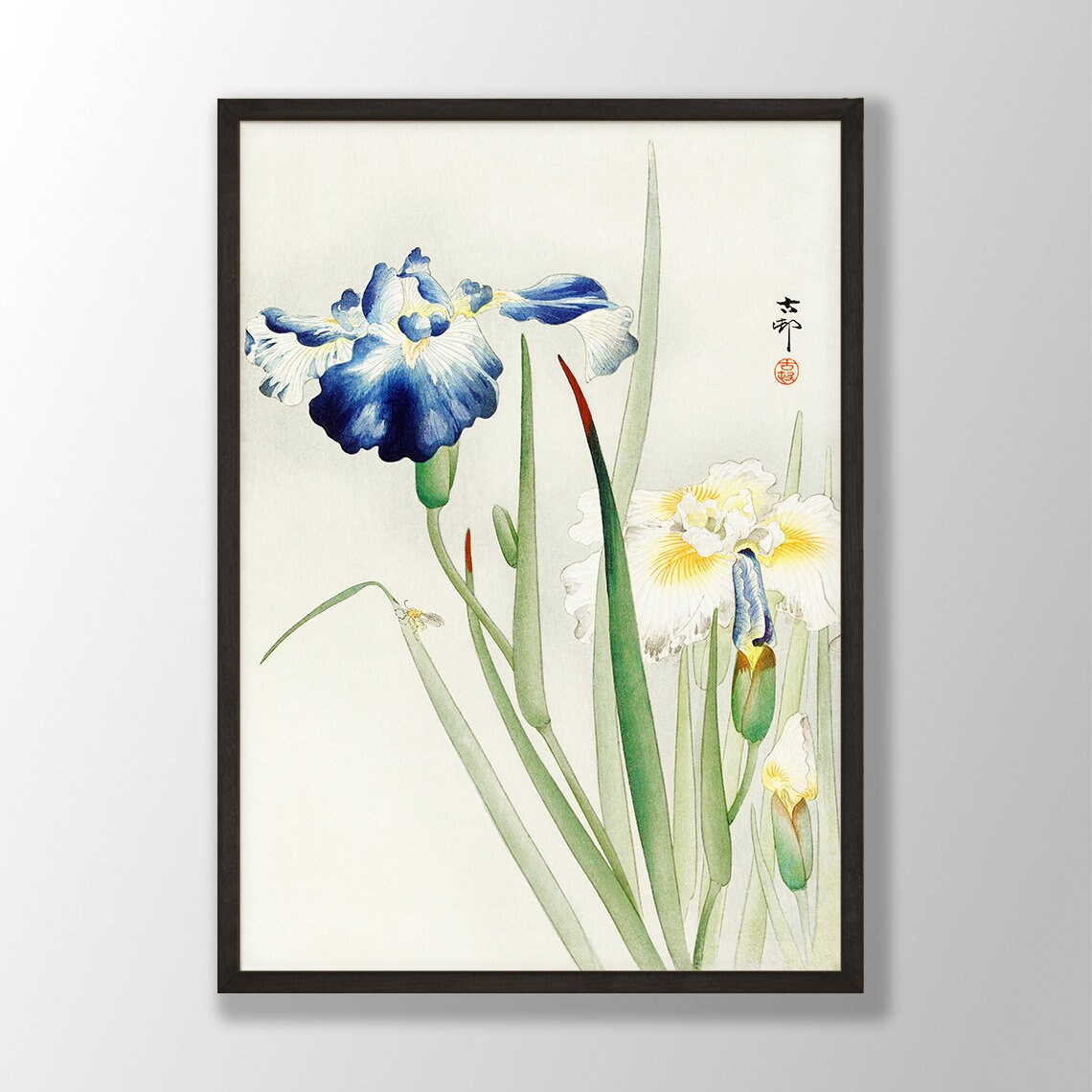 Japanese Iris Floral Art Print, Farmhouse Decor