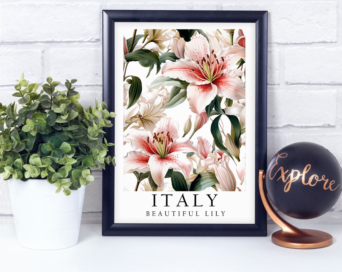 Italy Beautiful Lily Botanical Floral Illustration Pink White Poster