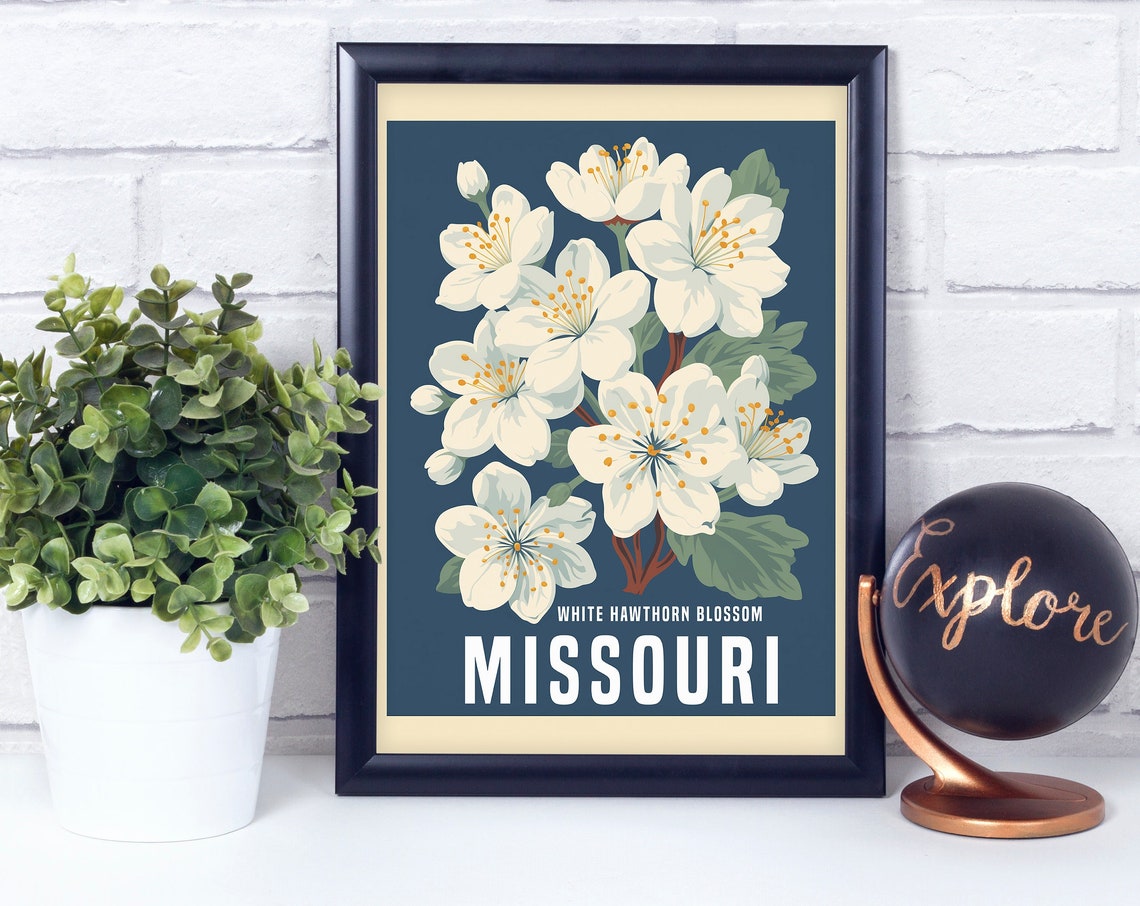 White Hawthorn Blossom Missouri State Flower Retro Art Poster