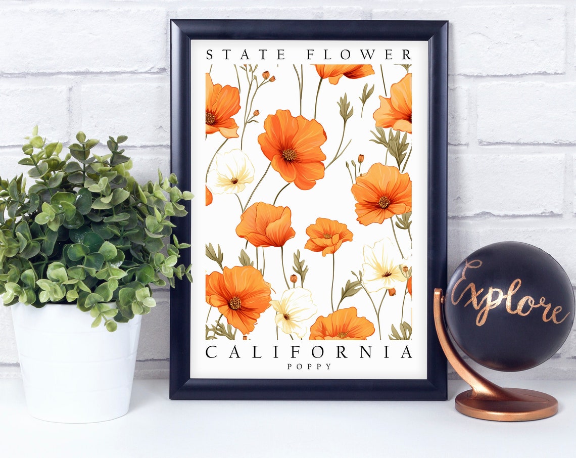 California Poppy State Flower Orange Blossom Botanical Poster