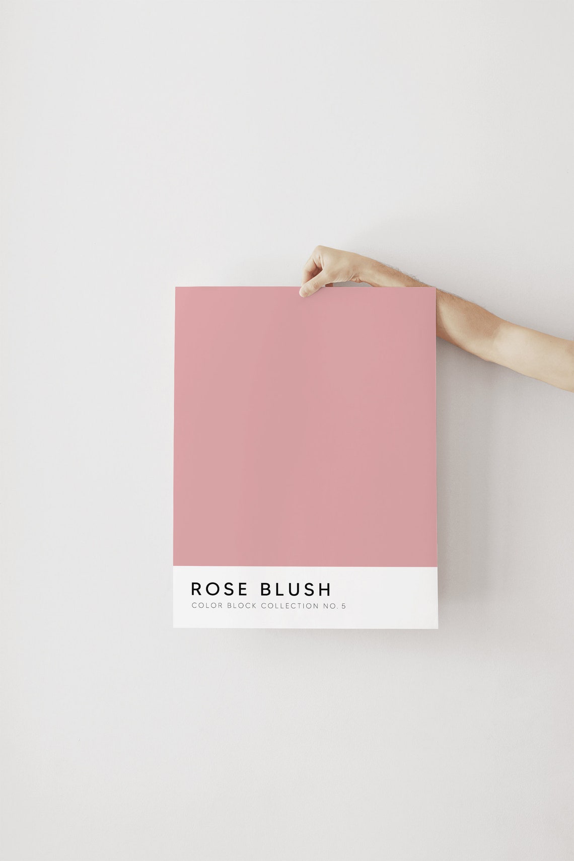 Rose Blush Pink Color Block Collection No 5 Modern Decor Poster